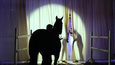 Holger Hetzel’s 16th International Sport Horse Sales - Keen interest and absolute safety