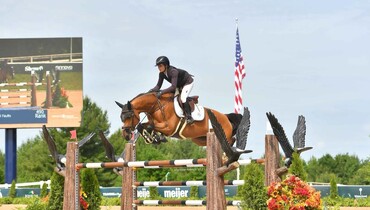 BRIDL news: David Guetta, GP horse from the Gulliksen-family, is heading to Wellington