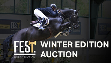 FESTHorseauction.com presents: Winter Auction Edition