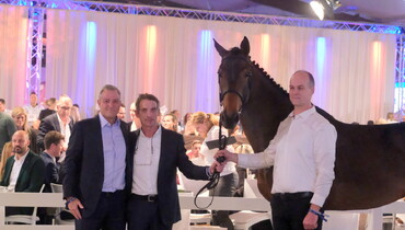 Holger Hetzel’s 16th International Sport Horse Sales: Bidders top the million mark twice