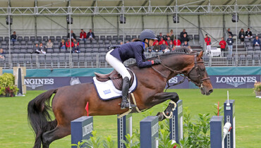 From youngster to international Grand Prix horse: Levis de Muze