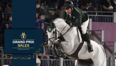 MHS Kylemore, full sister of Cian O’Connor’s top horse Kilkenny in Grand Prix Sales!