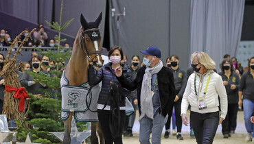 Eric Lamaze retires Olympic bronze medal mount Fine Lady 5
