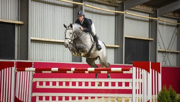 Christmas shopping at Youhorse.auction: 51 horses in the collection