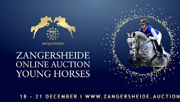 Zangersheide Auction 18 - 21 December | Future showjumping stars ready to shine! ⁣