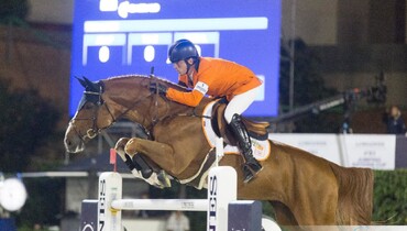 Embryos are the new gold: Investors find their way to exclusive horse embryos