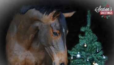 Wishing you a wonderful Christmas!