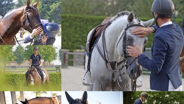Top 20 WoSJ Exclusives of 2021, part two