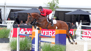 Kasper van het Hellehof secured for Mclain Ward
