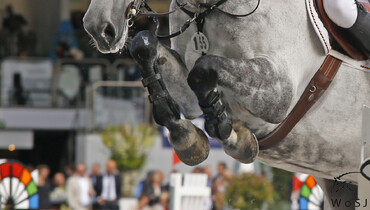 The German Equestrian Federation responds to RTL video footage of alleged “rapping” at Ludger Beerbaum Stables