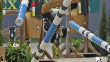 IJRC requests FEI to review controversial elimination rule
