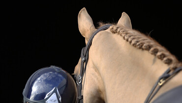 The new EU Directive on consumer protection and its impact on equine business – an overview of the current state of affairs