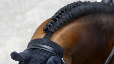 Nicolas Pizarro and Enkidu win the CSI4* Grand Prix in Lerma