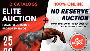 2 Ekestrian auctions on January 25 & 26: Elite and No-Reserve Auctions program