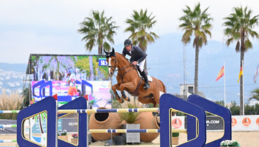 Mark McAuley and Django Ste Hermelle top the CSI3* 1.50m Grand Prix presented by Oliva Nova Beach & Golf Resort at Spring MET 2022