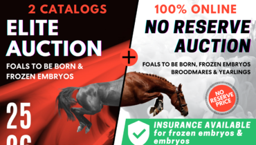 Ekestrian Elite & No-Reserve Auctions starting tomorrow with insurance available for frozen embryos and foals to be born!