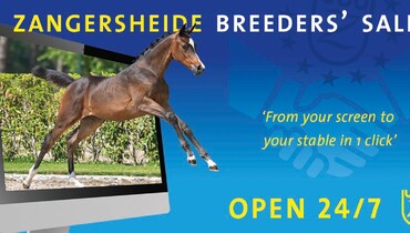 Zangersheide Breeders’ Sales – from your screen to your stable in one click!