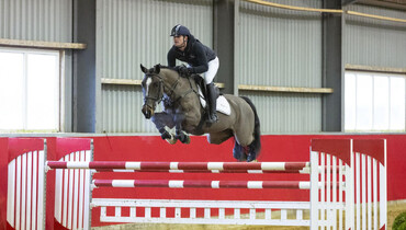 Youhorse.auction: A new horse for Valentine’s Day?