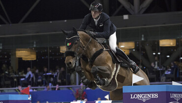 Rodrigo Almeida's GB Celine, Jorden van de Kruishoeve and Echo’s Son Z sold