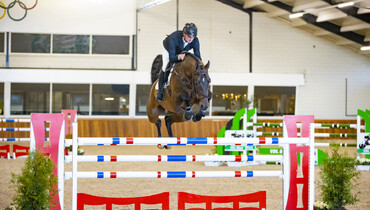 Get ready for the WEF Sport Horse Auction 2022!