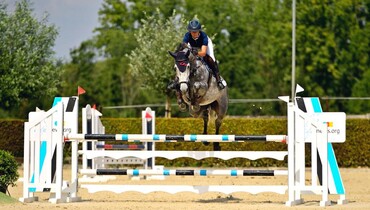Over The Top Stables acquires Corbie V.V.Z for Daniel Bluman