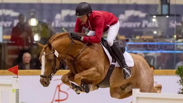 Proven broodmares and promising embryos in Paardenveiling Online auction