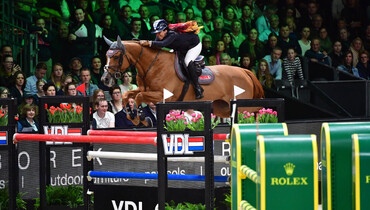 Youhorse.auction’s candy store is open