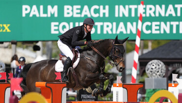 Victory for Verlooy in the $37,000 Adequan WEF Challenge Cup round VIII