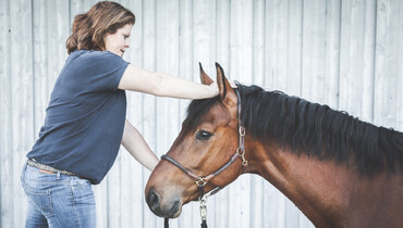 Equine 74 Gastric: Interview with Dr. vet. Katharina Mang - The connection between colic and stomach ulcers