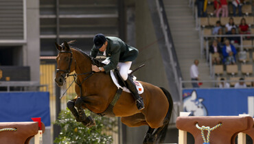 Youhorse.auction breeding collection: Take 10 steps forward today