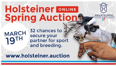 36th Holsteiner Spring Auction: 32 special talents carrying choice genes