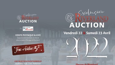 Save the date for the Exclusive Riverland Auction: April 22 & 23 2022
