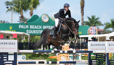 Darragh Kenny and Chic Chic return to top form in $37,000 Douglas Elliman Real Estate 1.45m CSI5* win