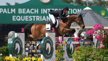 Ward wins again with Catoki in $37,000 Bainbridge Companies 1.45m CSI5* during WEF 9