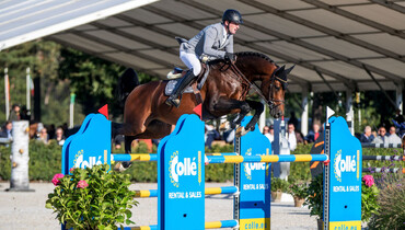 Three highly interesting new additions at stallion station Ludger Beerbaum Stables