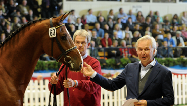 Equine 74 Gastric: Interview with Theo Molenaers - A healthy stomach makes a happy horse!