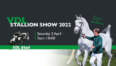 VDL Stallion Show: It's possible again!