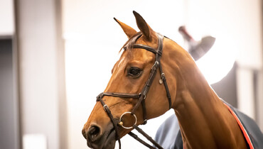 Images from Tuesday's trot-up at the Longines FEI Jumping World Cup™ Final 2022