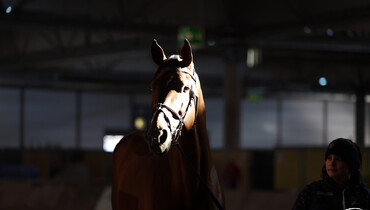 The second veterinary inspection at the Longines FEI Jumping World Cup™ Final 2022 in images