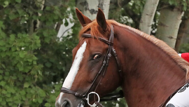 Harrie Smolders takes over the reins on Darry Lou