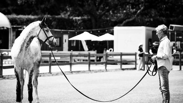 Magic moments from the Longines Global Champions Tour of Mexico City, part one