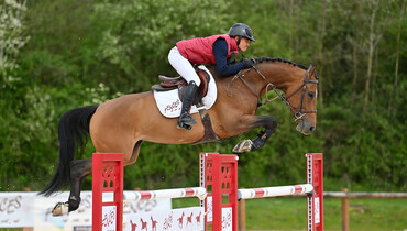 Fences Auction and The International Jumping of Bourg-en-Bresse: A first