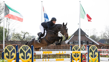 The Youngsters Auction: Trials of the auction horses has started!