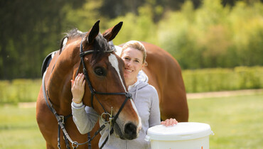 How can you treat gastric ulcers in horses?