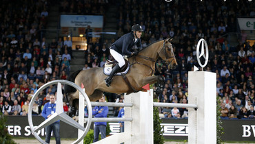 Dimaro vd Looise Heide sold to the Czech Republic