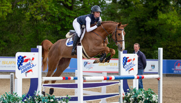 Bidding has commenced on the first Billy Stud Online Auction of 2022