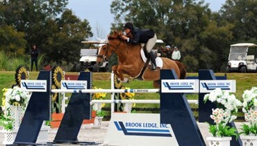 Lisa Goldman makes a clean sweep at HITS Ocala week IV winning SmartPak Grand Prix and Brook Ledge Open Welcome