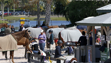 Images from the Winter Equestrian Festival in Wellington - Part two