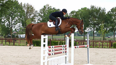Dutch Horse Trading for the right and reliable match of horse and rider