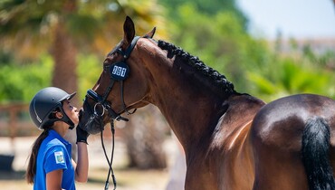 New FEI Solidarity Relief Fund initiatives for Ukraine launched in May 2022